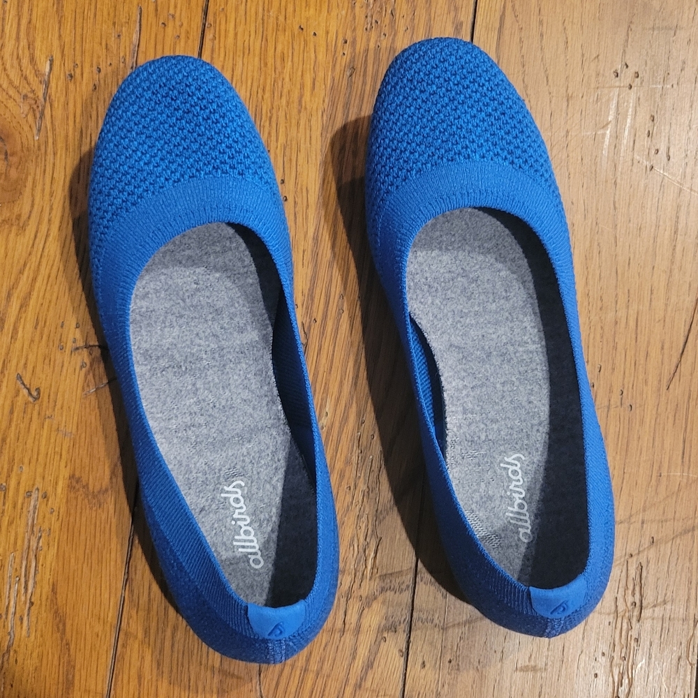Allbirds Tree Breezers ballet flats (blue)